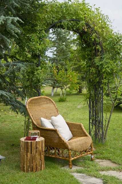 chair, furniture, background